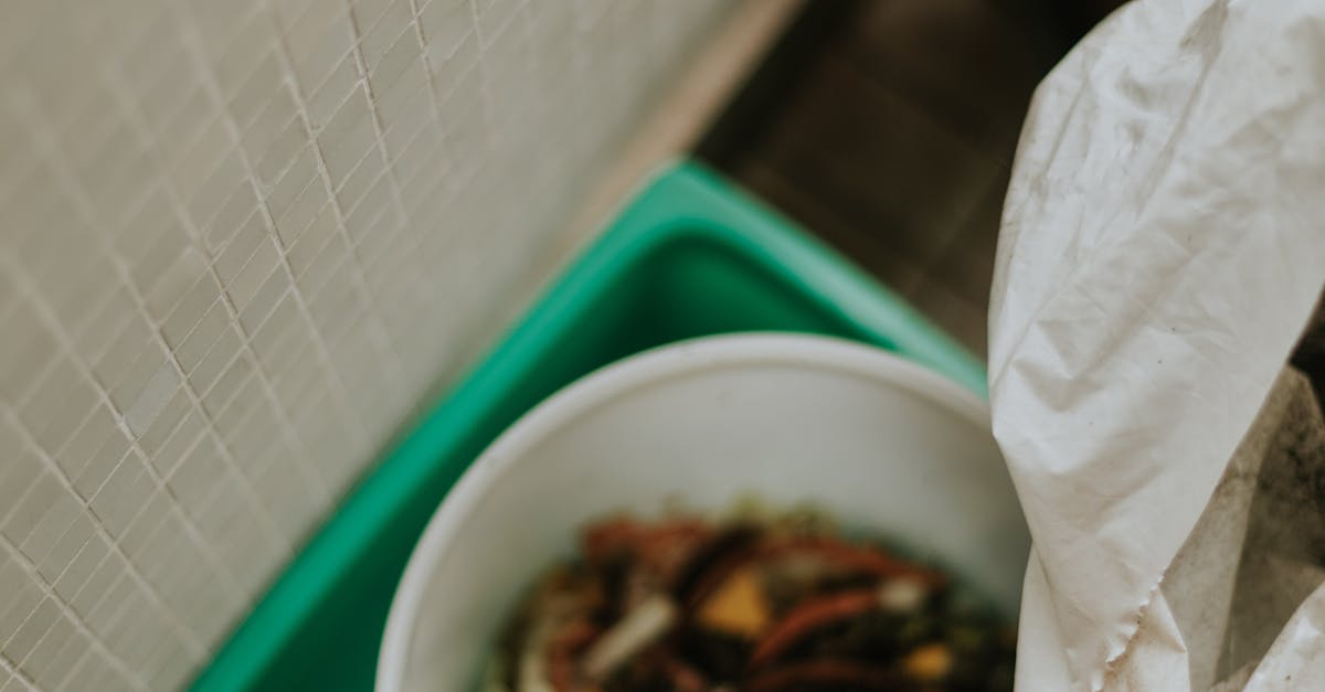 organic vegetable garden with compost bin and rain barrel