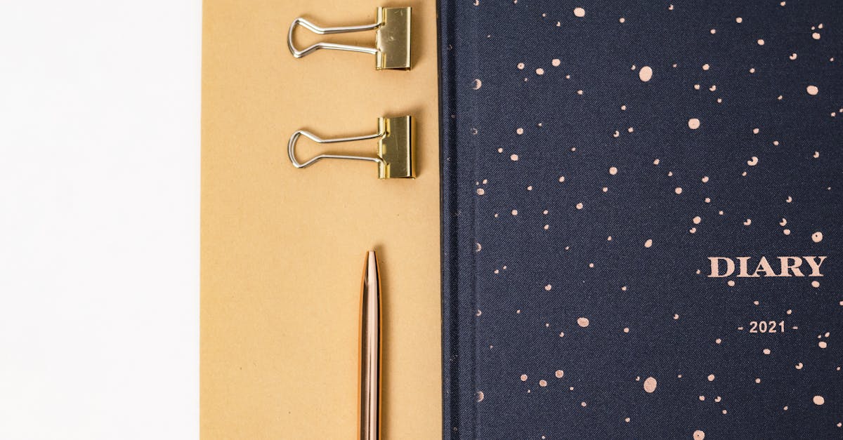 premium diary with pen
