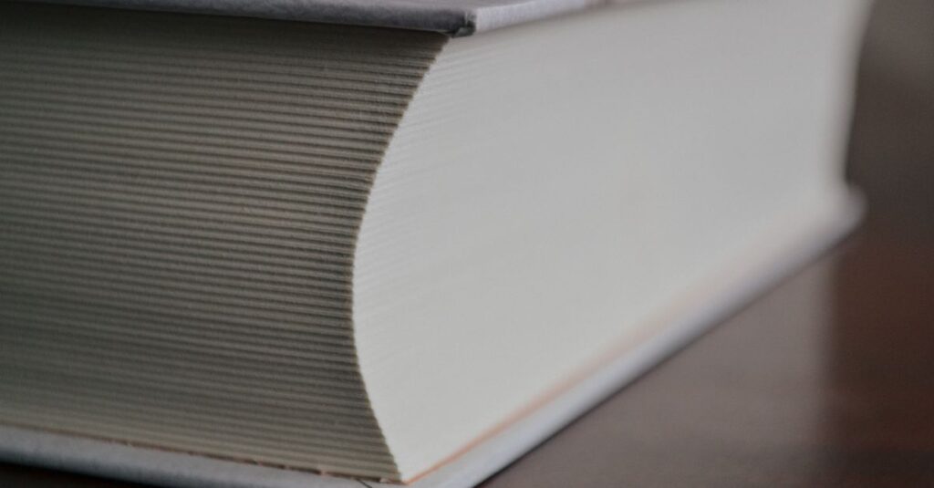 thick stitched account book