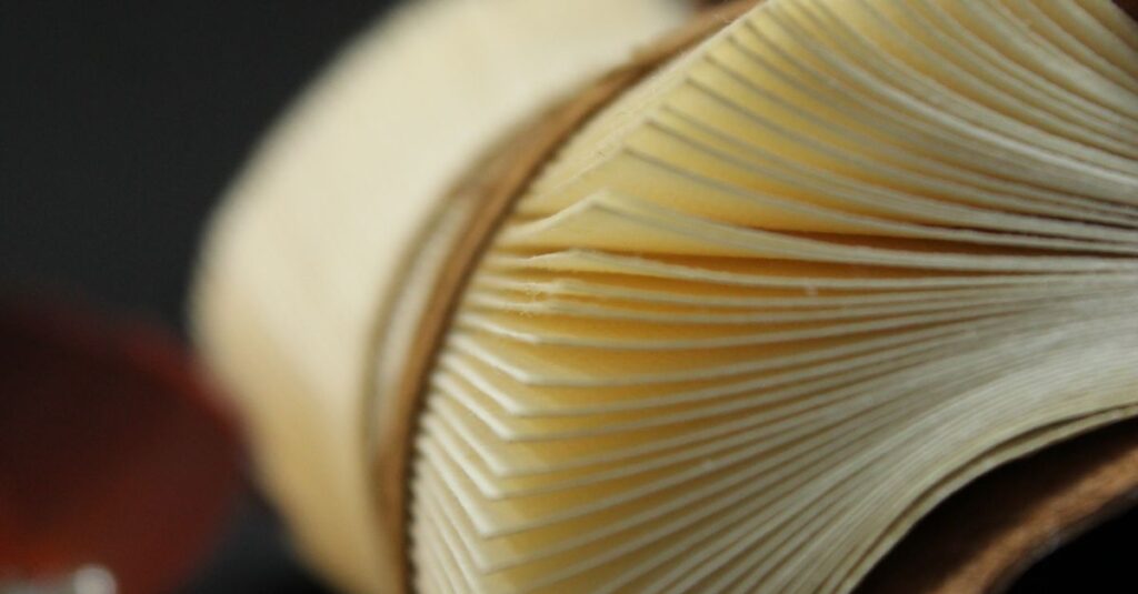 premium diary with pen